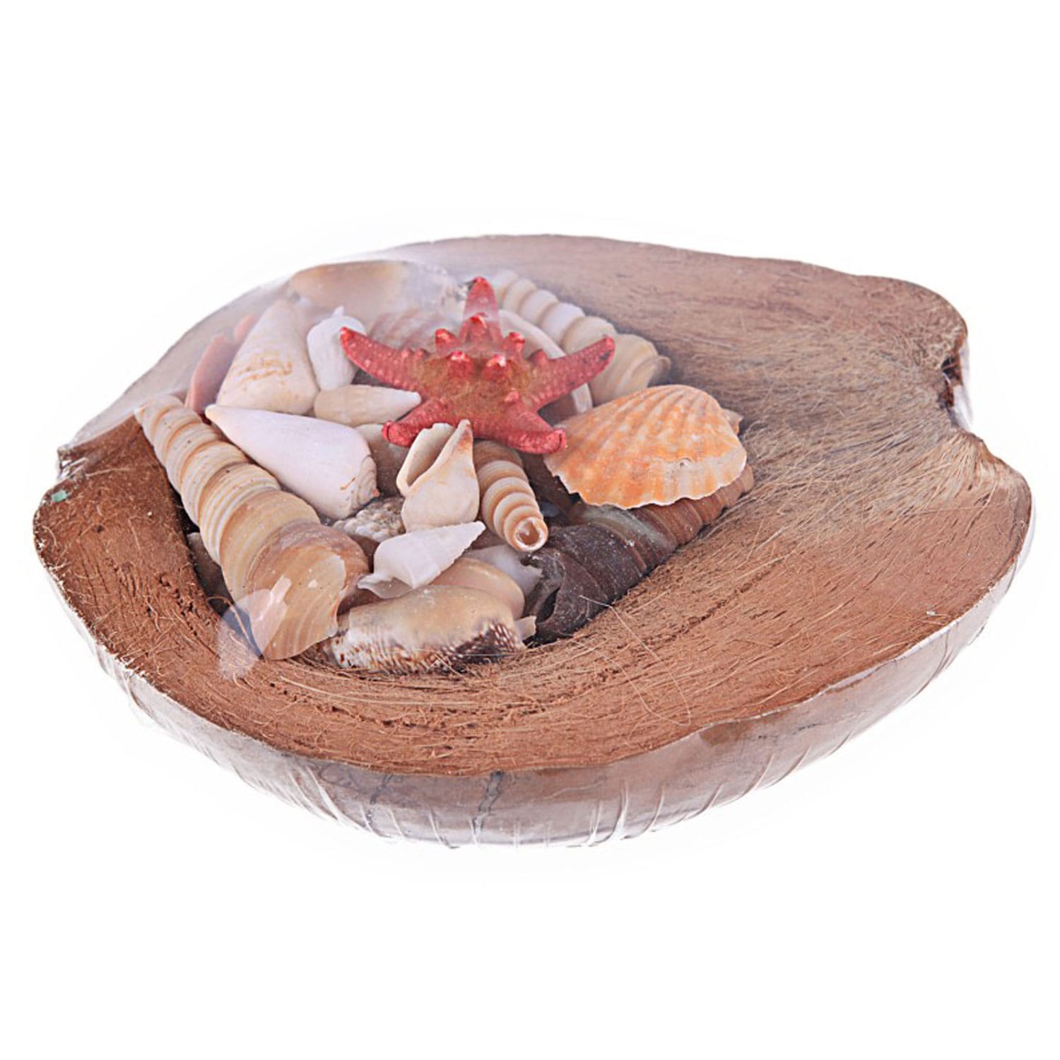 coco-kabuk-sepeti-18-20-cm-arasi1.jpg